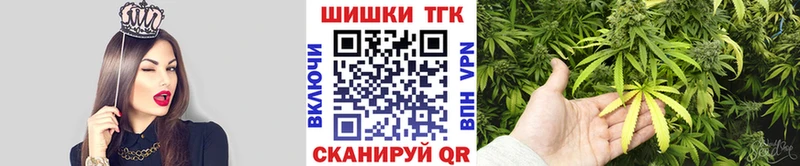 как найти наркотики  Закаменск  Конопля THC 21% 